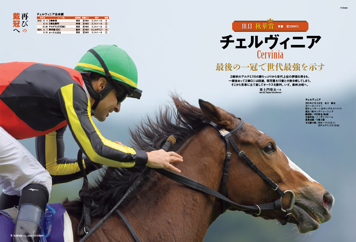 オジュウチョウサン アクリルチャーム付ボールペン 競馬 JRA ウマ娘 手っ取り早かっ