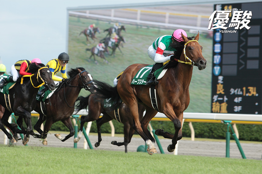 激安通販の 札幌記念ハープスター 単勝 ゴールドシップ入場券 レープロ